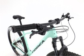 Orbea Alma Carbone
